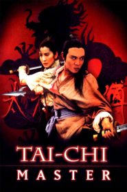 Tai-Chi Master